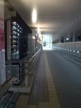 36037-4.jpg
