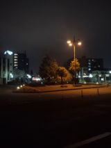 36039-5.jpg