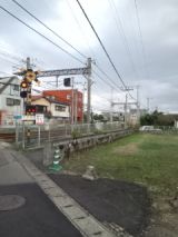 36054-6.jpg