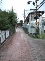 36055-7.jpg