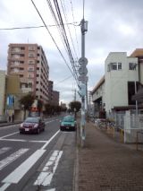 36056-3.jpg