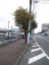 36056-4.jpg
