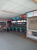 36061-4.jpg