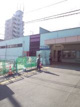 36062.jpg