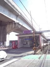 36063-2.jpg