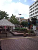36067-6.jpg
