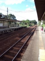 36073-3.jpg