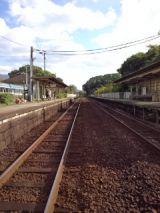 36073-4.jpg