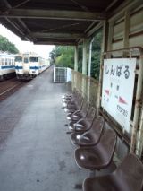 36073-5.jpg