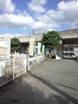 36076-3.jpg