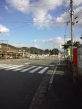 36079-4.jpg