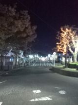 36096-8.jpg