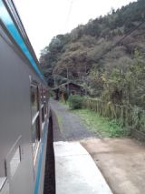 36119.jpg