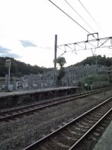 36133-7.jpg