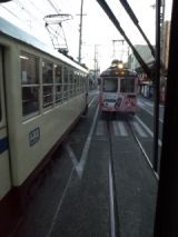 36154.jpg