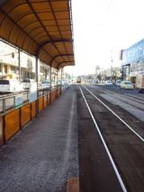 36161.jpg