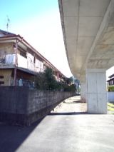 36166.jpg