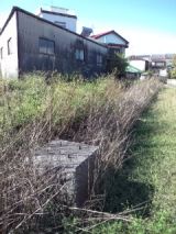 36170.jpg