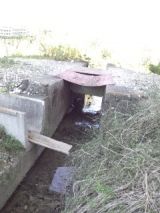 36173-1.jpg