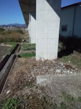 36178-1.jpg