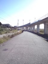 36184.jpg