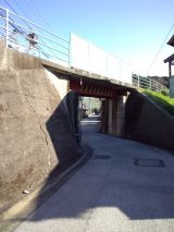 36188.jpg