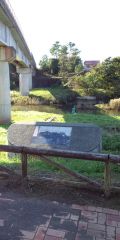 36194-3.jpg