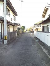 36204.jpg