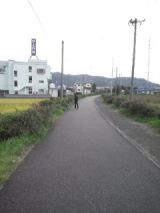 36242-1.jpg