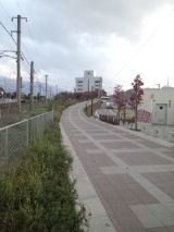 36242.jpg