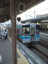 36243.jpg