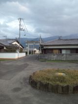 36244-5.jpg