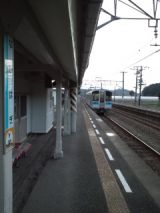 36244.jpg