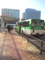 36256-2.jpg