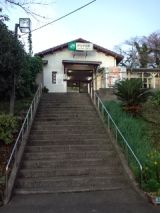 36264-5.jpg