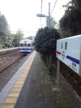36271.jpg