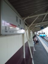 36272.jpg