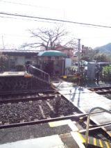 36273-1.jpg