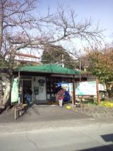 36273-4.jpg