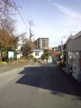 36273-5.jpg