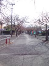 36275-6.jpg