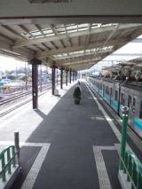 36278.jpg