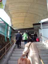 36279-2.jpg
