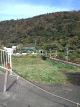 36279-7.jpg