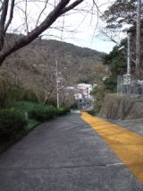 36282-7.jpg
