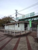 36286-5.jpg