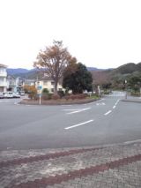 36286-6.jpg