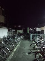 36331-6.jpg