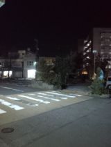 36332-5.jpg