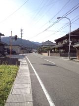 36353-6.jpg